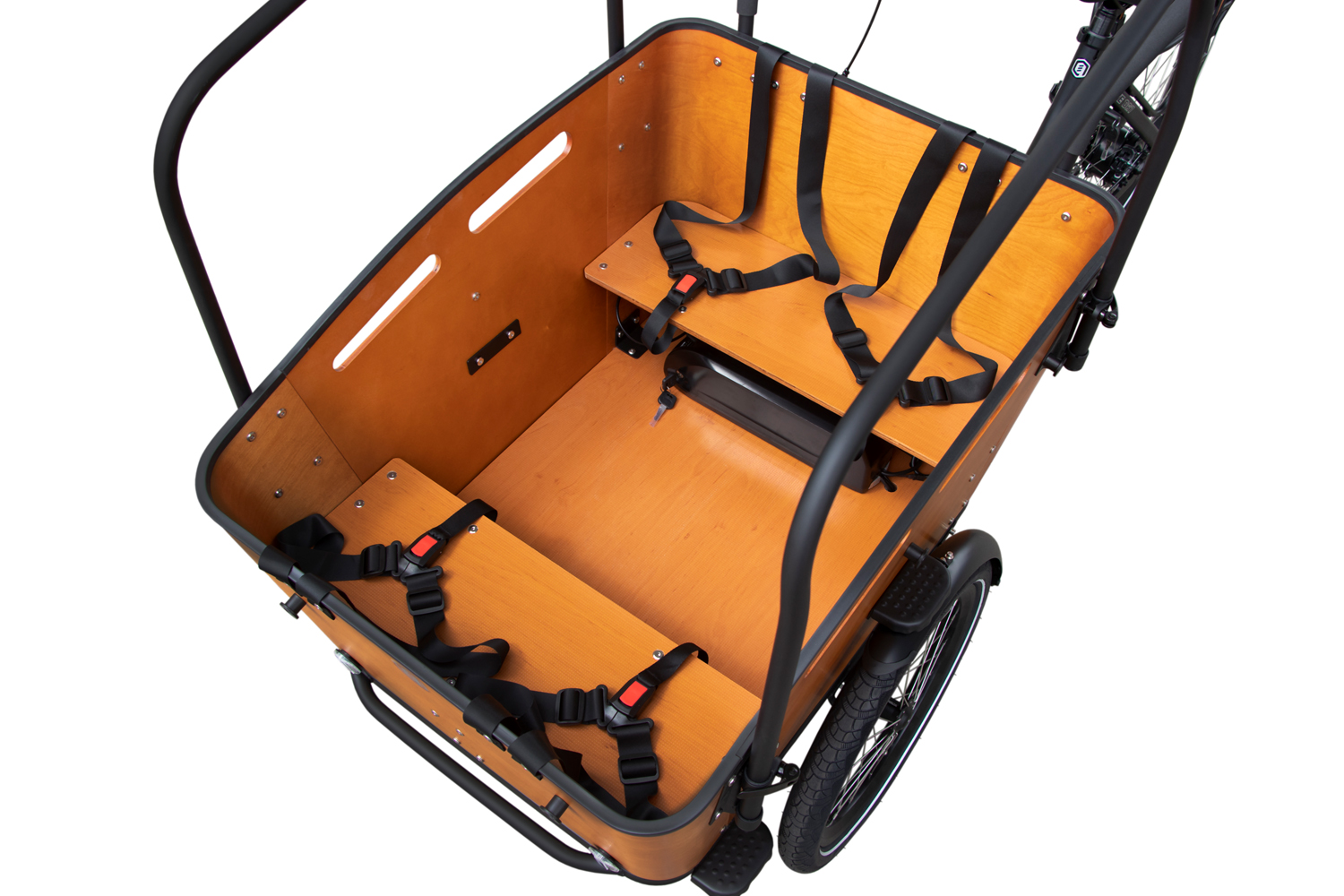 Qivelo Curve 3 DR7